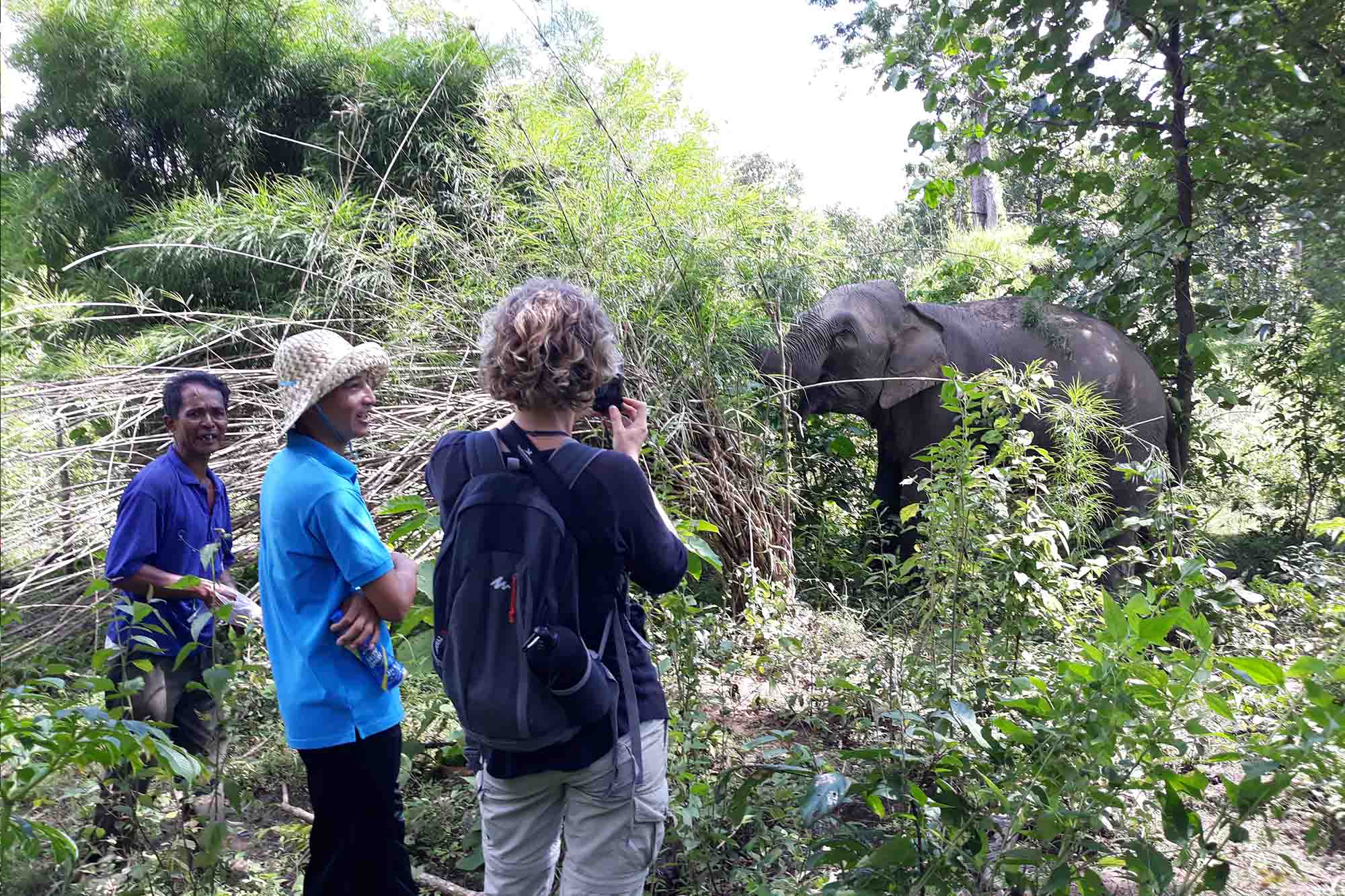 Sáng kiến du lịch sinh thái thân thiện với voi